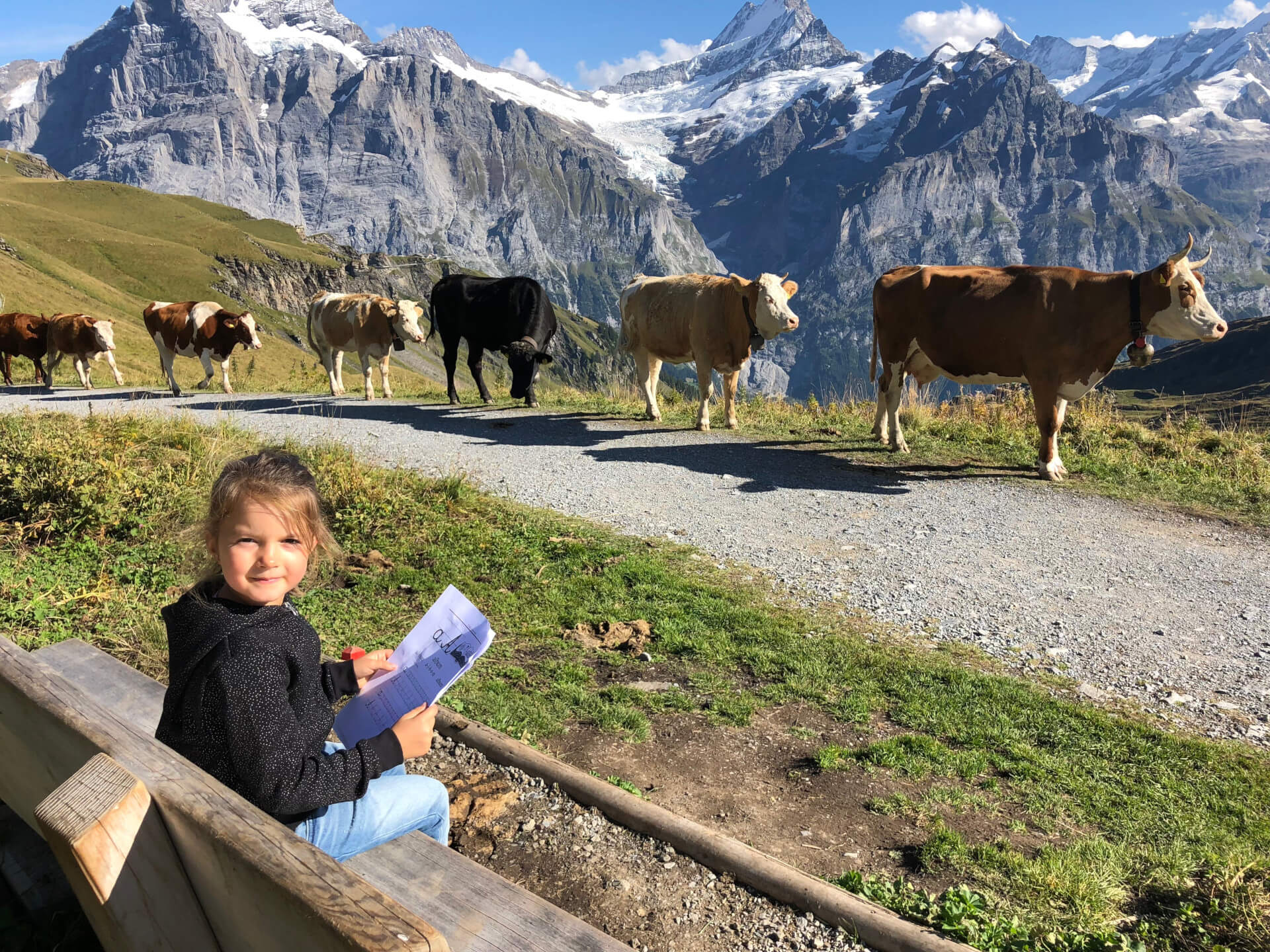 Konkurs: „Uczę się z Polonijką”